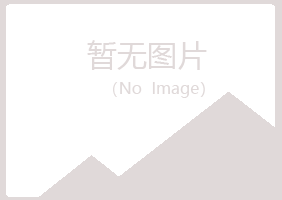 鹤岗兴山平安服务有限公司